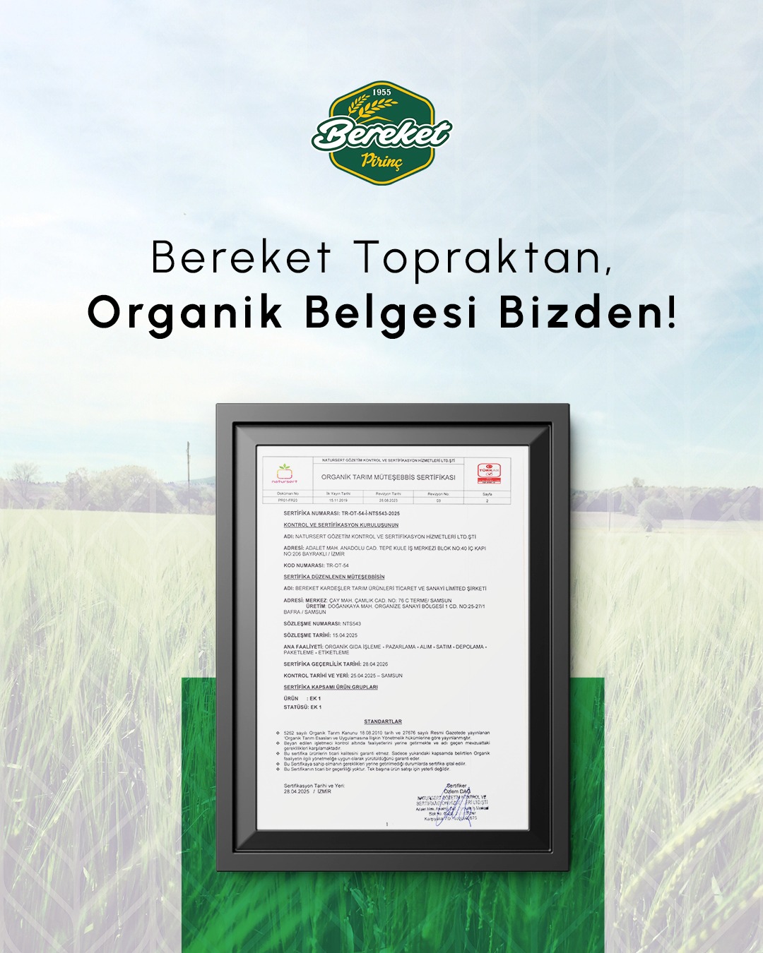 Sertifika
